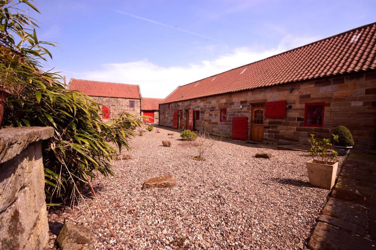 Sebright Cottage, Borrowby Farm Cottages Staithes Exterior foto