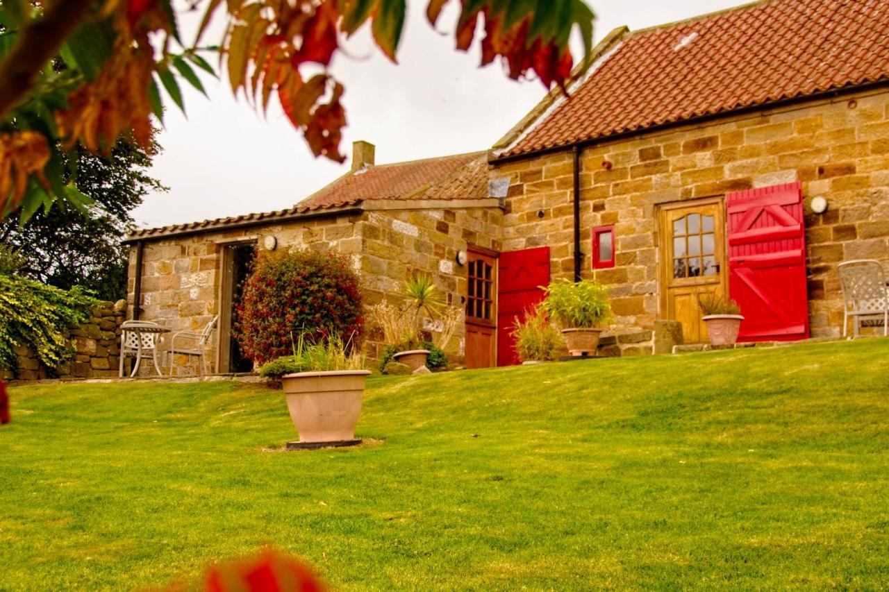 Sebright Cottage, Borrowby Farm Cottages Staithes Exterior foto